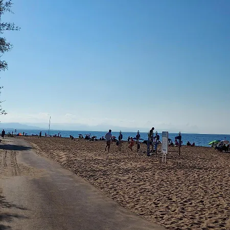 La Palmera